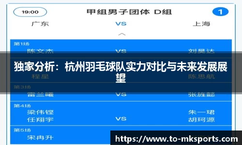 独家分析：杭州羽毛球队实力对比与未来发展展望